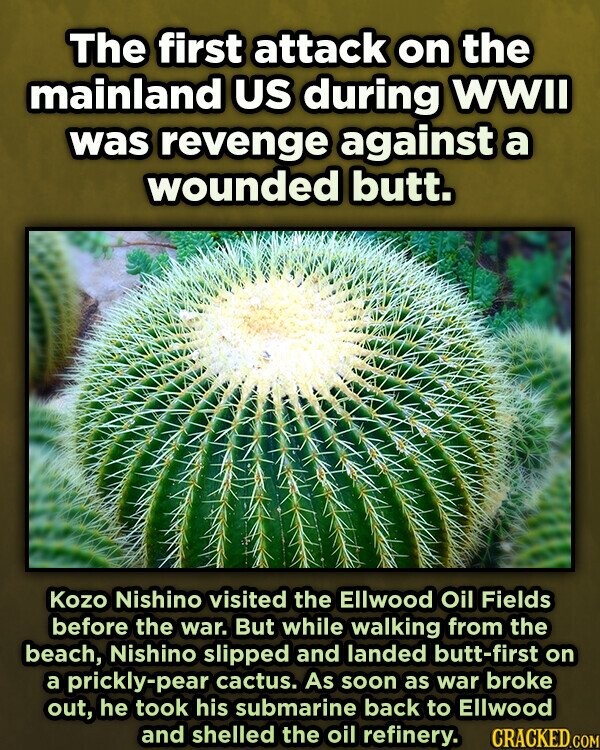 The first attack on the mainland US during WWII was revenge against a wounded butt. Kozo Nishino visited the Ellwood Oil Fields before the war. But while walking from the beach, Nishino slipped and landed butt-first on a prickly-pear cactus. As soon as war broke out, he took his submarine back to Ellwood and shelled the oil refinery. CRACKED.COM
