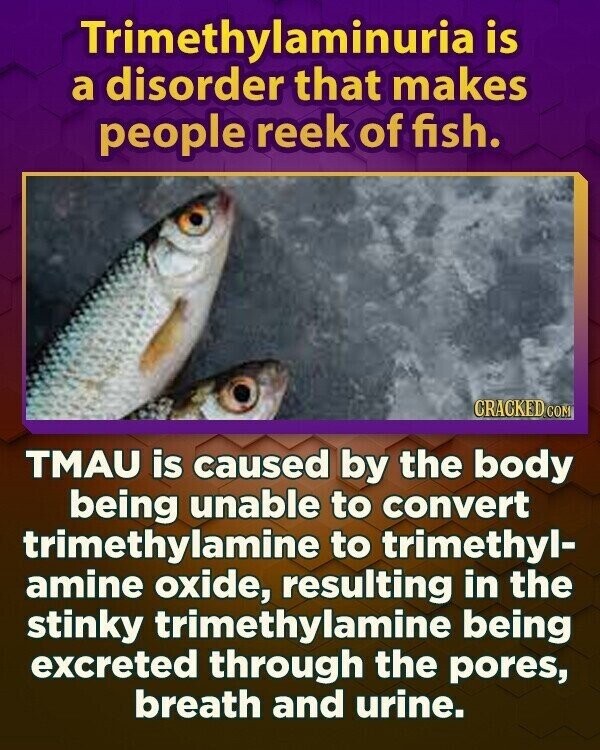 Trimethylaminuria is a disorder that makes people reek of fish. CRACKED.COM TMAU is caused by the body being unable to convert trimethylamine to trimethyl- amine oxide, resulting in the stinky trimethylamine being excreted through the pores, breath and urine.