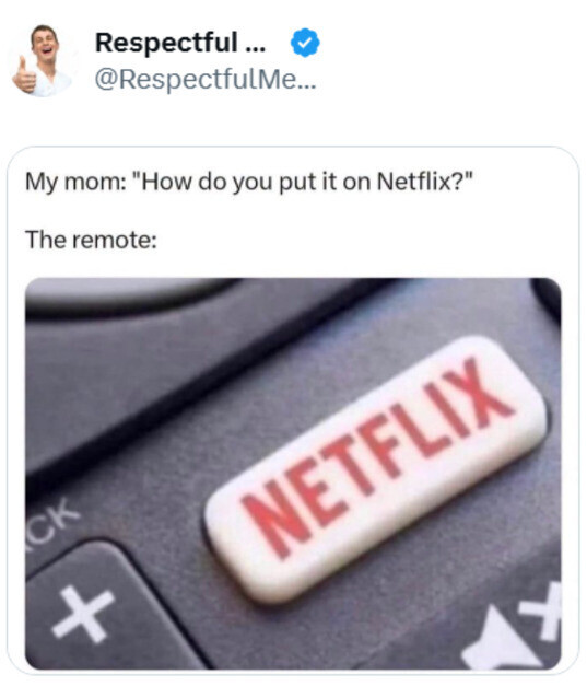Respectful ... @RespectfulMe... My mom: How do you put it on Netflix? The remote: CK NETFLIX + + 