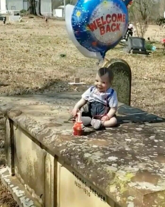 Wild Photos That Yank The Emergency Brake