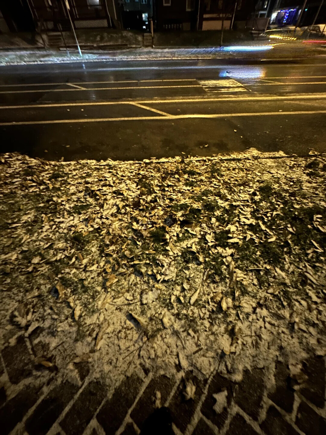 Photos Where Common Sense Took a Leave of Absence