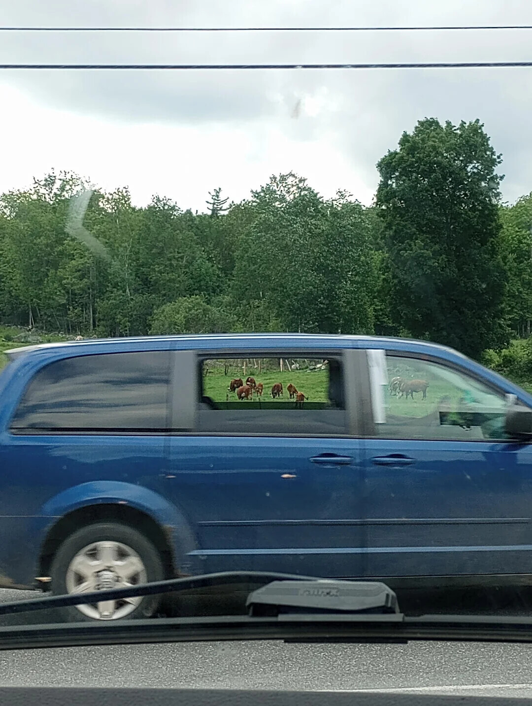 One-in-a-Million Shots That Could Never Happen Again