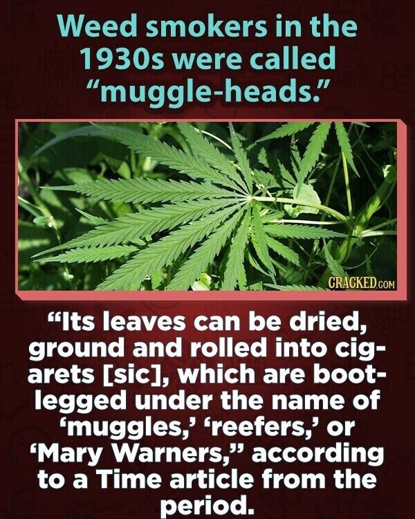 Weed smokers in the 1930s were called muggle-heads. CRACKED.COM Its leaves can be dried, ground and rolled into cig- arets [sic], which are boot- legged under the name of 'muggles,' 'reefers,' or 'Mary Warners, according to a Time article from the period.