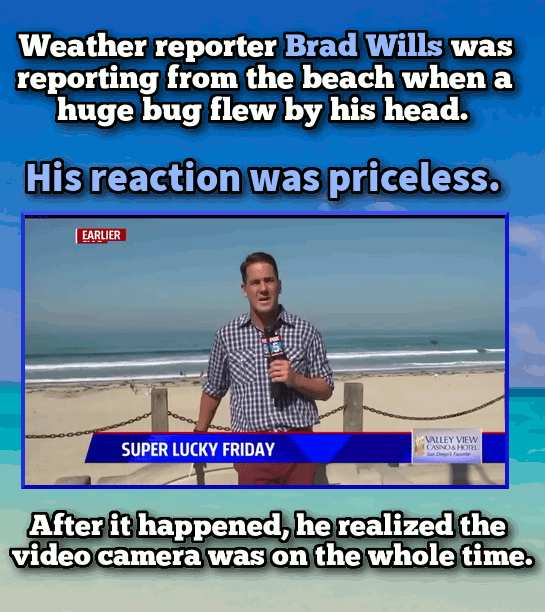 29 of the Most Hilarious, Cringeworthy or Downright Shocking Moments Caught on Live TV