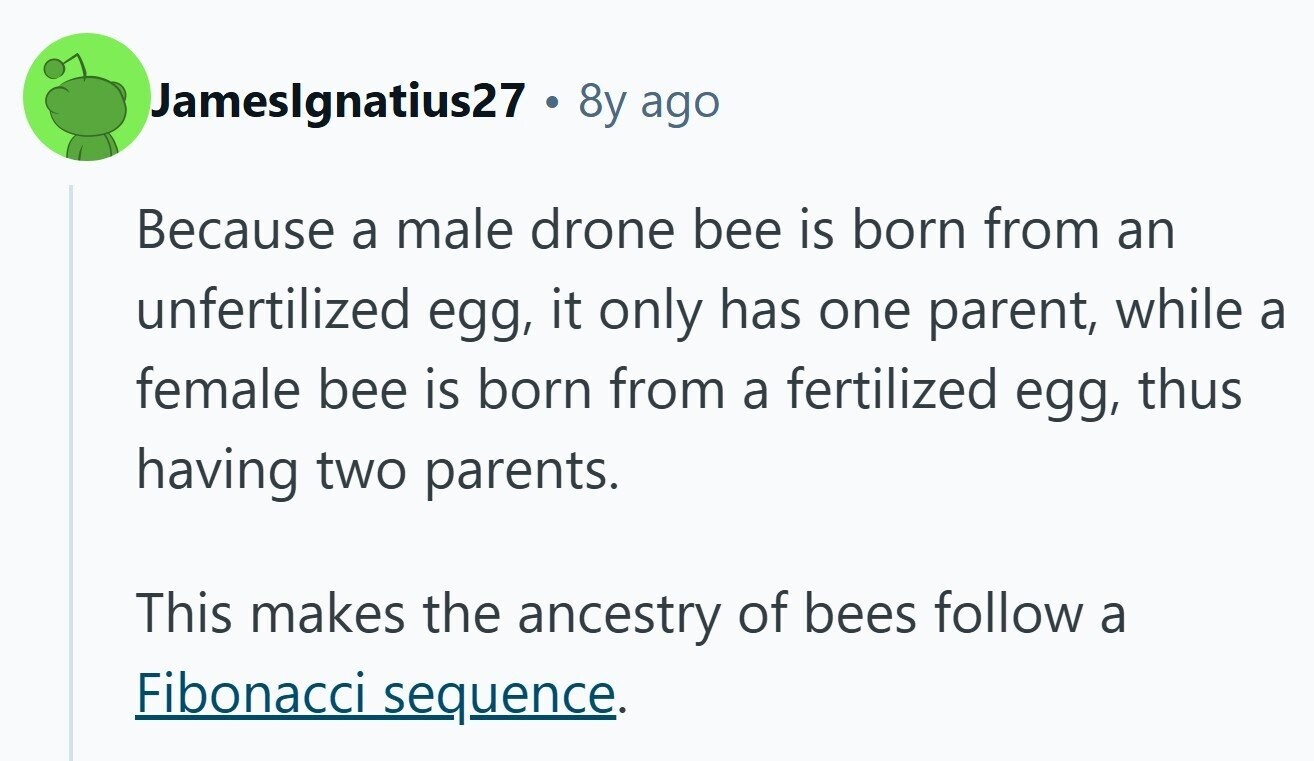 Jamesignatius27 . By : ago Because a male drone bee is born from an unfertilized egg, it only has one parent, while a female bee is born from a fertilized egg, thus having two parents. This makes the ancestry of bees follow a Fibonacci sequence.