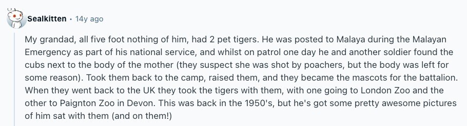 Sealkitten 14y ago My grandad, all five foot nothing of him, had 2 pet tigers. Не was posted to Malaya during the Malayan Emergency as part of his national service, and whilst on patrol one day he and another soldier found the cubs next to the body of the mother (they suspect she was shot by poachers, but the body was left for some reason). Took them back to the camp, raised them, and they became the mascots for the battalion. When they went back to the UK they took the tigers with them, with one going to London Zoo 
