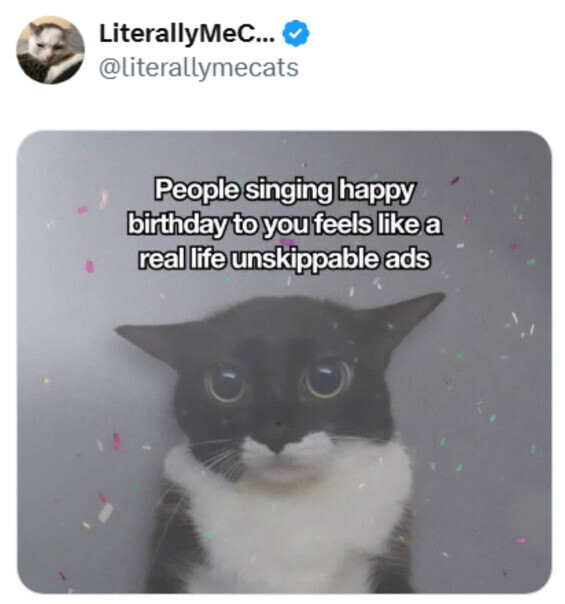 LiterallyMeC... @literallymecats People singing happy birthday to you feels like a real life unskippable ads 