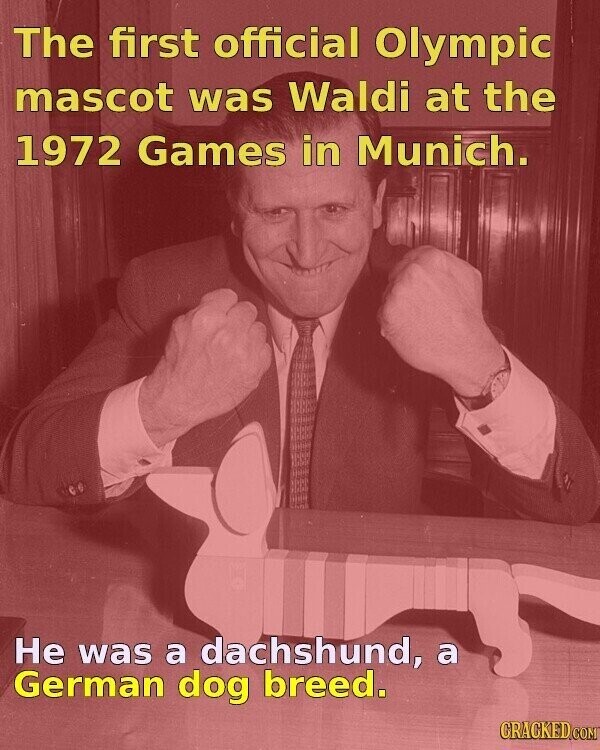 The first official Olympic mascot was Waldi at the 1972 Games in Munich. Не was a dachshund, a German dog breed. CRACKED.COM