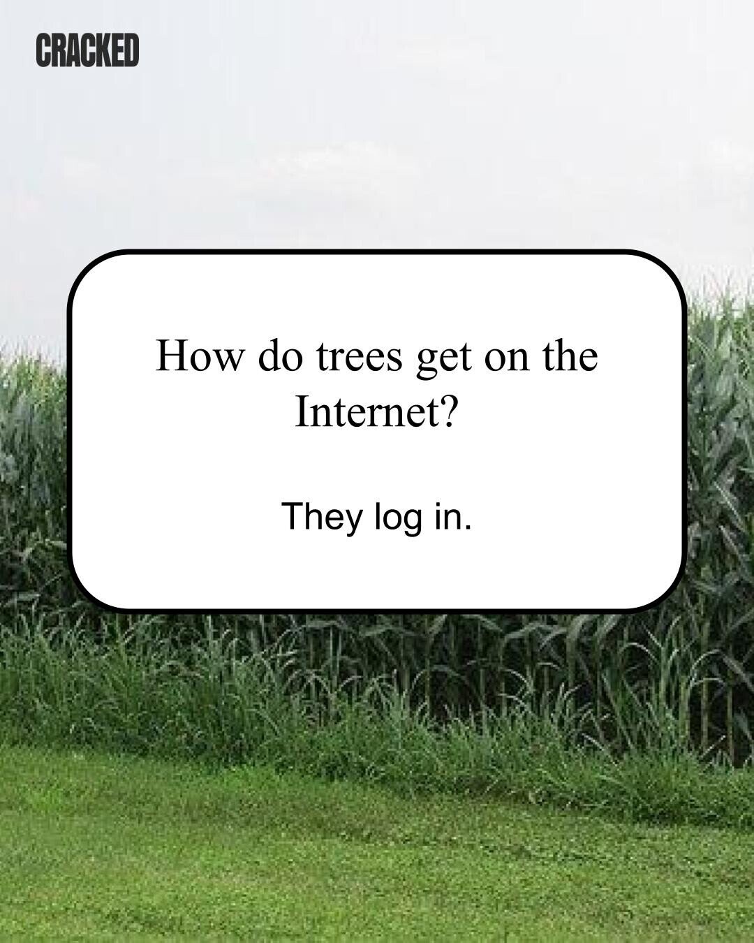 CRACKED How do trees get on the Internet? They log in. 