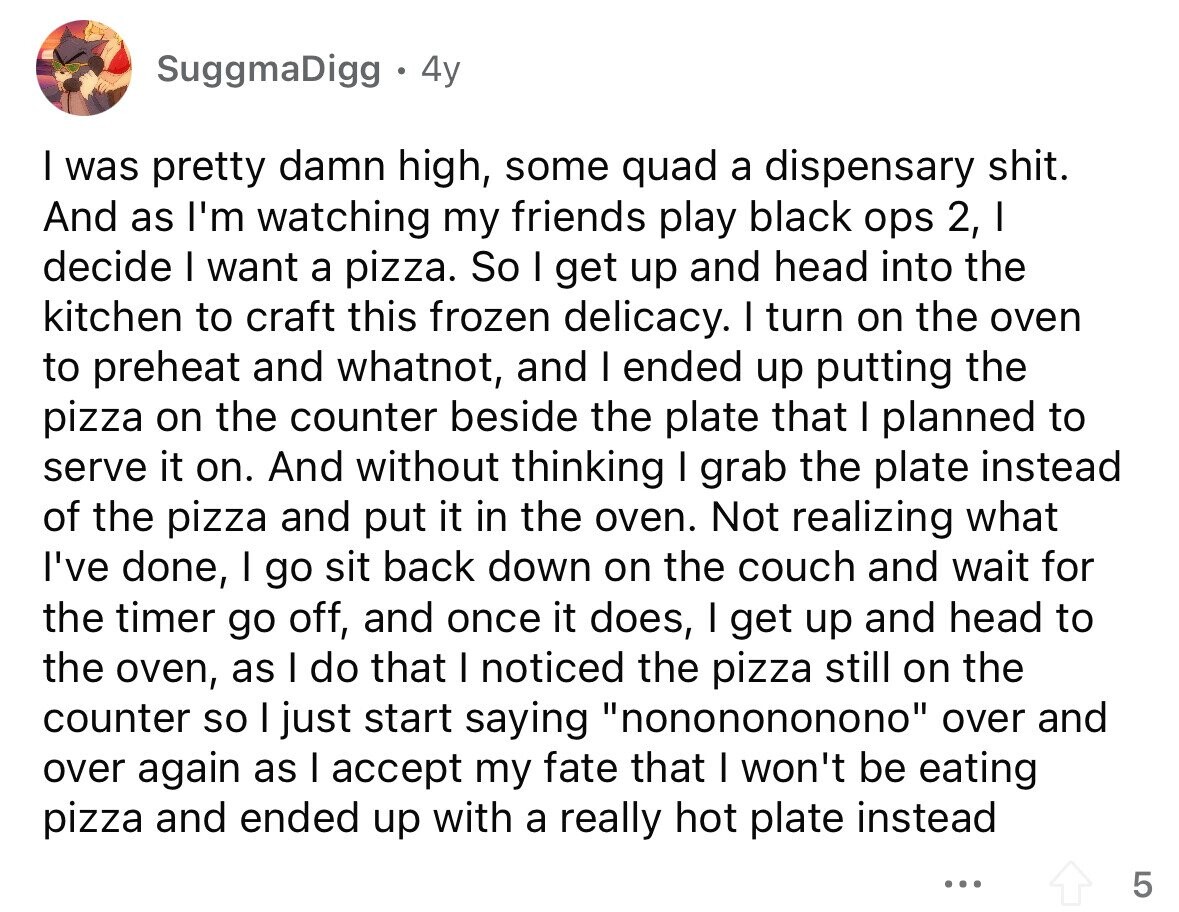 SuggmaDigg 4y I was pretty damn high, some quad a dispensary shit. And as I'm watching my friends play black ops 2, I decide I want a pizza. So I get up and head into the kitchen to craft this frozen delicacy. I turn on the oven to preheat and whatnot, and I ended up putting the pizza on the counter beside the plate that I planned to serve it on. And without thinking I grab the plate instead of the pizza and put it in the oven. Not realizing what I've done, I go sit back down on the