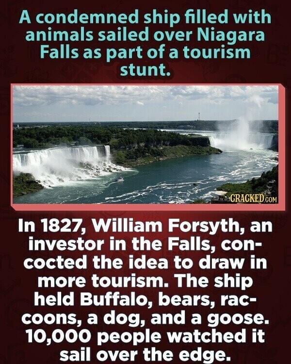 A condemned ship filled with animals sailed over Niagara Falls as part of a tourism stunt. CRACKED.COM In 1827, William Forsyth, an investor in the Falls, con- cocted the idea to draw in more tourism. The ship held Buffalo, bears, rac- coons, a dog, and a goose. 10,000 people watched it sail over the edge.