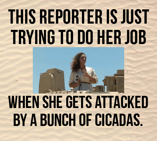 29 of the Most Hilarious, Cringeworthy or Downright Shocking Moments Caught on Live TV