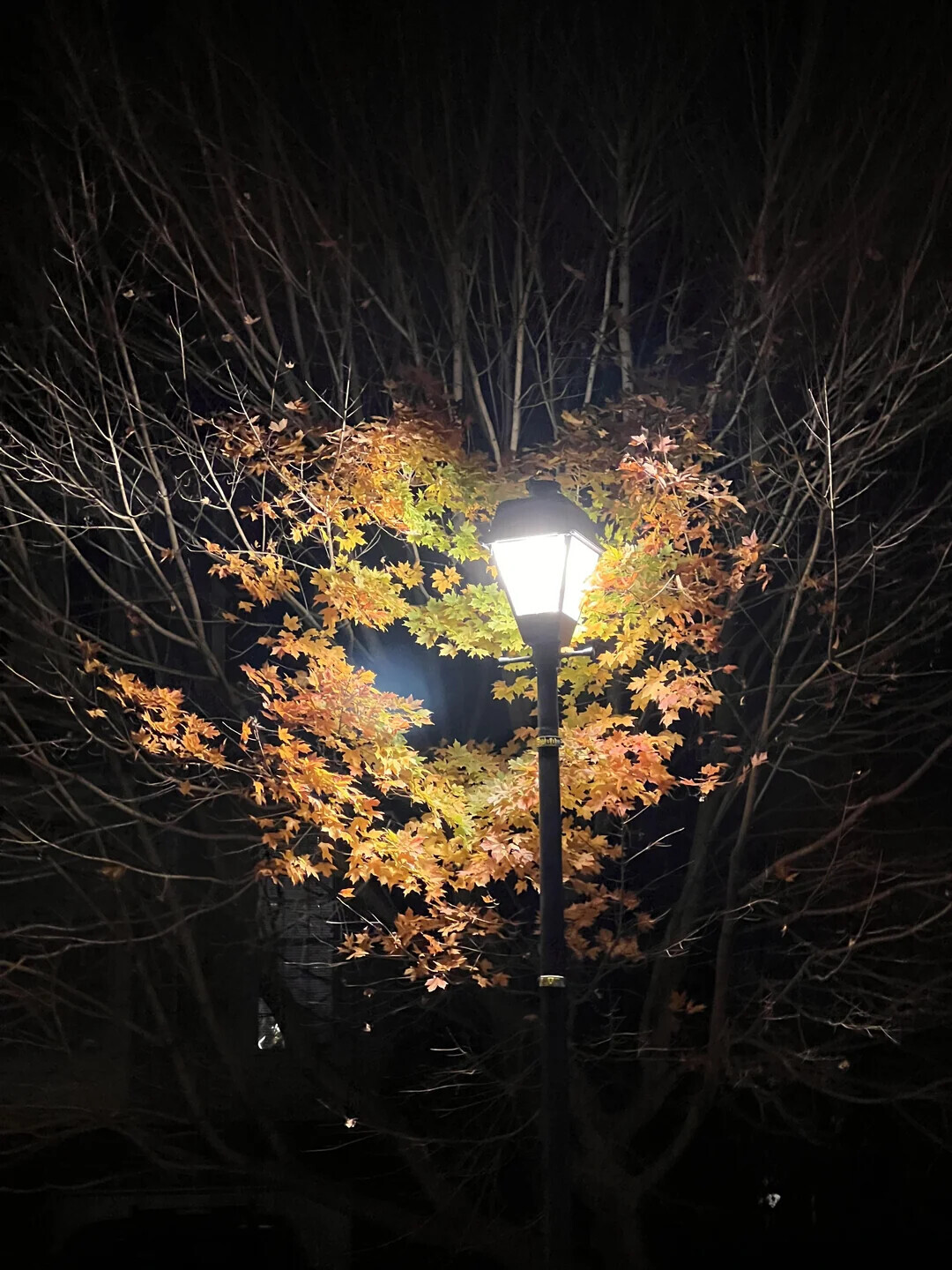 One-in-a-Million Shots That Could Never Happen Again