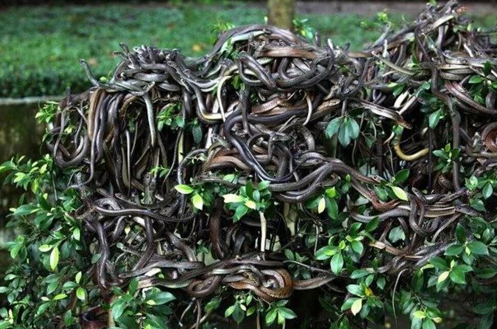 15 Creepy Islands That No One Is Allowed to Visit