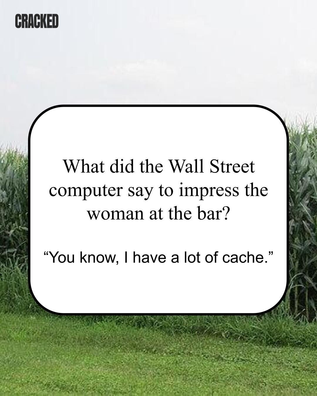 CRACKED What did the Wall Street computer say to impress the woman at the bar? You know, I have a lot of cache. 
