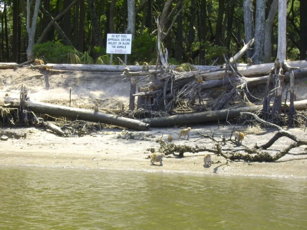 15 Creepy Islands That No One Is Allowed to Visit
