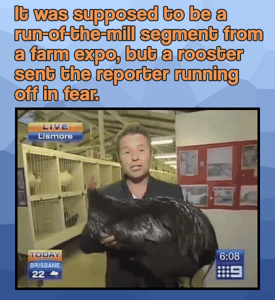 29 of the Most Hilarious, Cringeworthy or Downright Shocking Moments Caught on Live TV