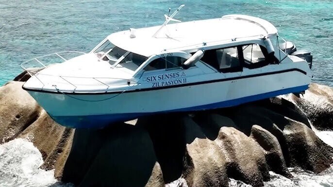 Wild Photos That Yank The Emergency Brake