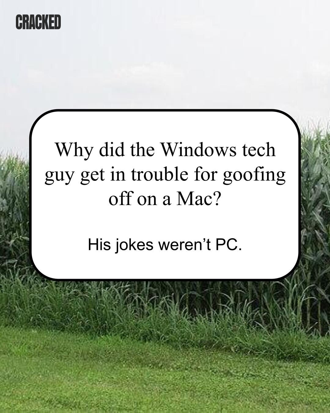 CRACKED Why did the Windows tech guy get in trouble for goofing off on a Mac? His jokes weren't PC. 