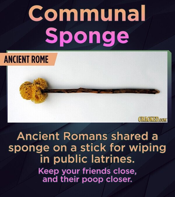 Poop Sponge 13 Historic Alternatives To Toilet Paper | Cracked.com