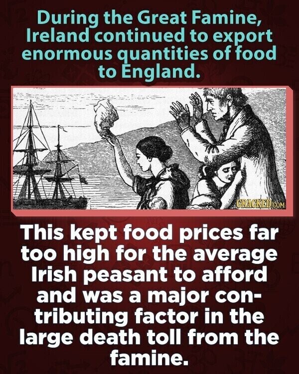 During the Great Famine, Ireland continued to export enormous quantities of food to England. GRACKED GOM This kept food prices far too high for the average Irish peasant to afford and was a major con- tributing factor in the large death toll from the famine.
