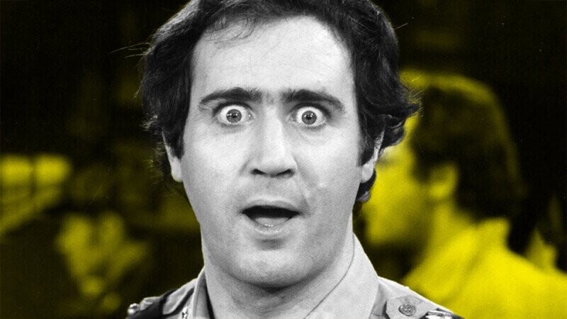 45 Random Bits of Trivia We Wrestled Out of Our Dog’s Mouth