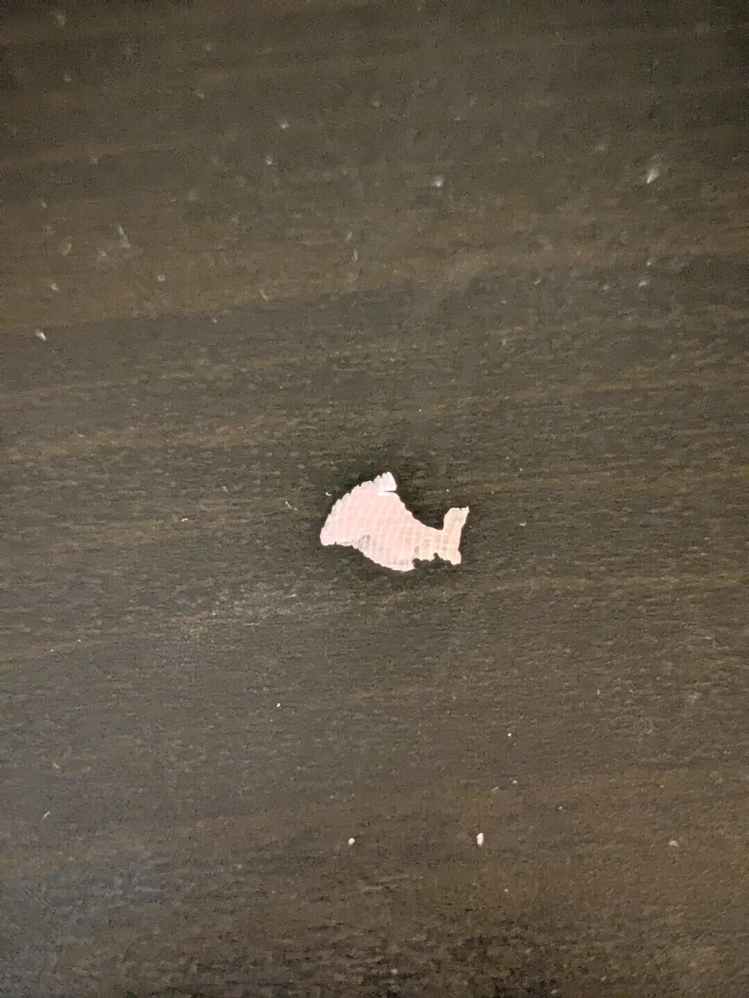 One-in-a-Million Shots That Could Never Happen Again