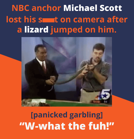29 of the Most Hilarious, Cringeworthy or Downright Shocking Moments Caught on Live TV