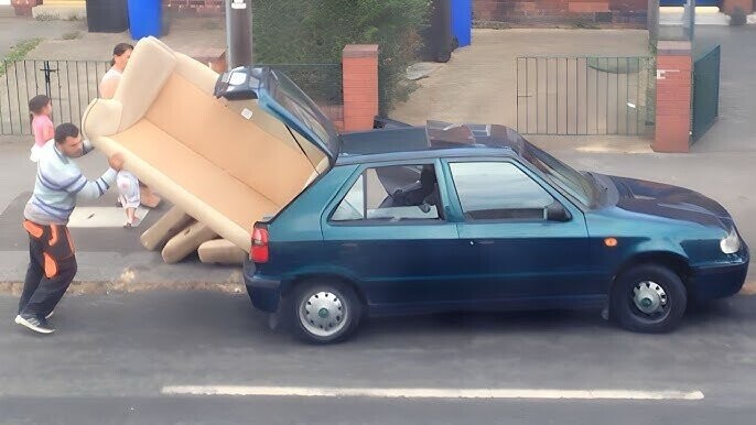 Wild Photos That Yank The Emergency Brake