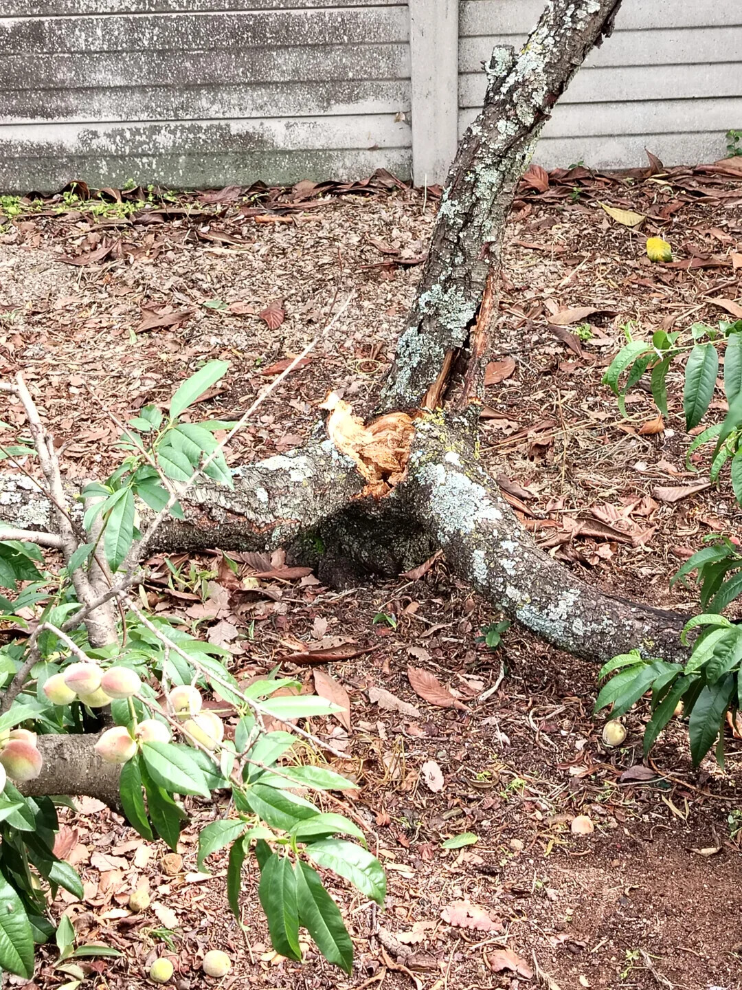 Photos Where Nobody Was Around to Put a Stop to Things