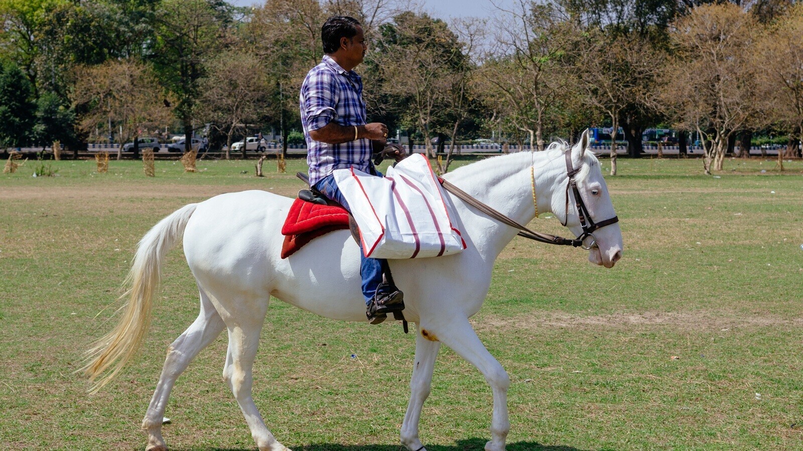 15 Doctors Share the Hobbies They'd Stay Well Clear Of