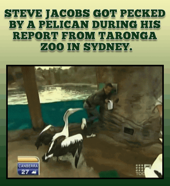 29 of the Most Hilarious, Cringeworthy or Downright Shocking Moments Caught on Live TV