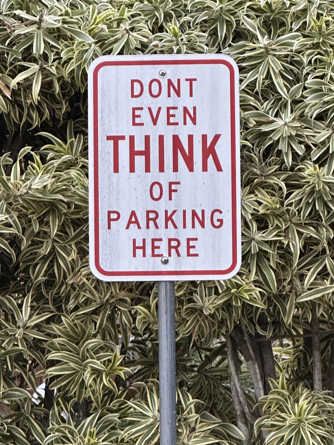 DONT EVEN THINK OF PARKING HERE