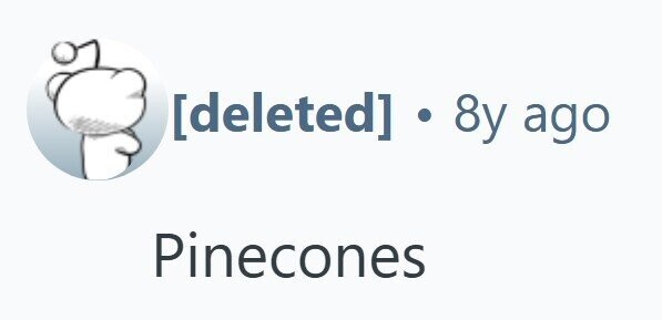 ] . 8y ago Pinecones 