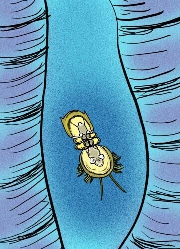 20 Times the Nerds Won Naming Rights Over Marketing