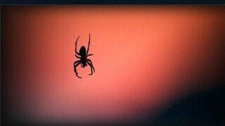 31 Halloween Facts for Everyone Who Has Started Celebrating Already