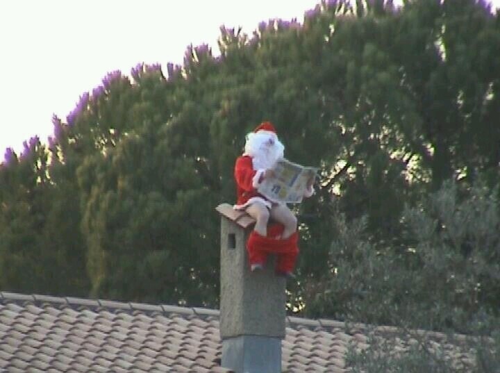 20 Photos from if the Grinch Ran Christmas