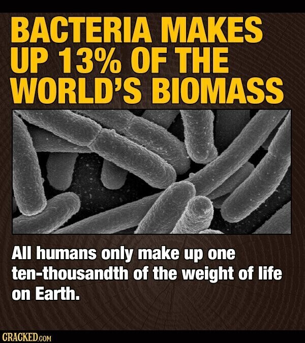BACTERIA MAKES UP 13% OF THE WORLD'S BIOMASS All humans only make up one ten-thousandth of the weight of life on Earth. CRACKED.COM