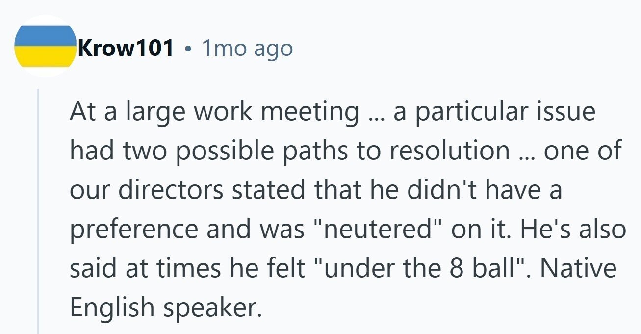Krow101 1mo ago At a large work meeting ... a particular issue had two possible paths to resolution ... ... one of our directors stated that he didn't have a preference and was neutered on it. He's also said at times he felt under the 8 ball. Native English speaker. 