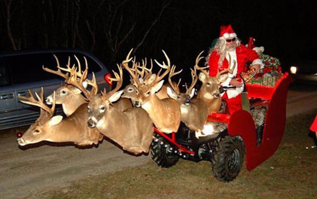 20 Photos Showing Christmas if the Grinch Ran It