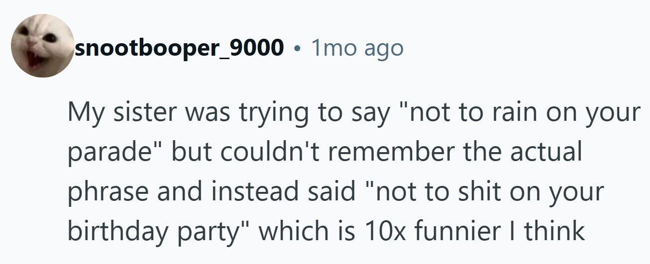 snootbooper_9000 . 1mo ago My sister was trying to say not to rain on your parade but couldn't remember the actual phrase and instead said not to shit on your birthday party which is 10x funnier I think 