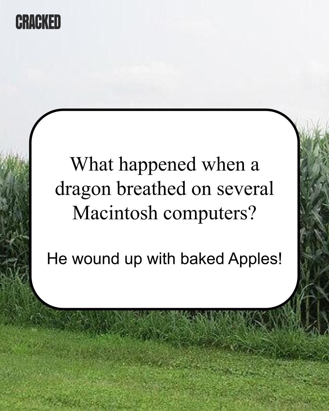 CRACKED What happened when a dragon breathed on several Macintosh computers? Не wound up with baked Apples! 