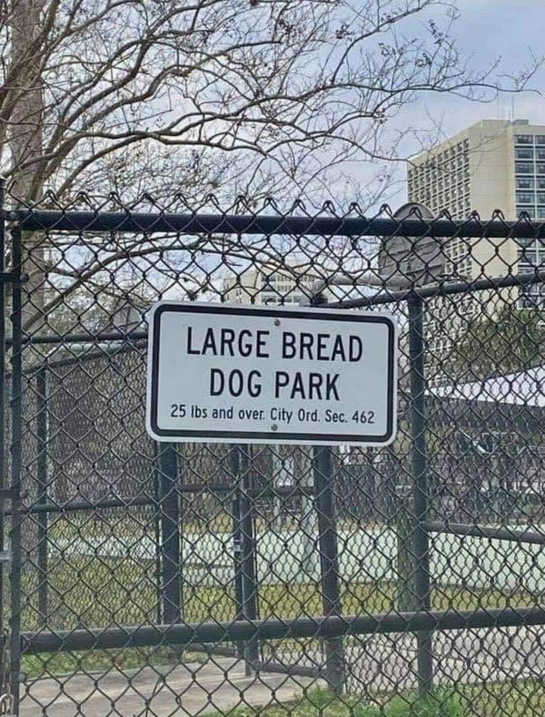 LARGE BREAD DOG PARK 25 lbs and over. City Ord. Sec. 462