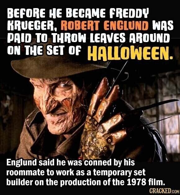 BEFORE НЕ BECAME FREDDY KRUEGER, ROBERT ENGLUND WAS PAID TO THROW LEAVES AROUND ON THE SET of HALLOWEEN. Englund said he was conned by his roommate to work as a temporary set builder on the production of the 1978 film. CRACKED.COM