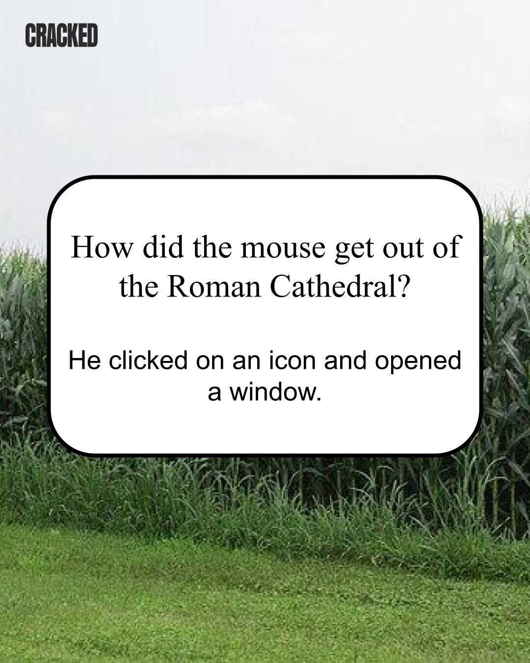 CRACKED How did the mouse get out of the Roman Cathedral? Не clicked on an icon and opened a window. 