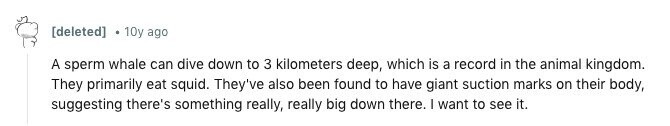 [deleted] 10y ago A sperm whale can dive down to 3 kilometers deep, which is a record in the animal kingdom. They primarily eat squid. They've also been found to have giant suction marks on their body, suggesting there's something really, really big down there. I want to see it. 
