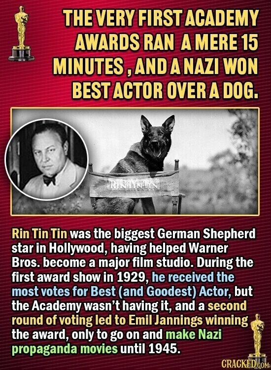 THE VERY FIRST ACADEMY AWARDS RAN A MERE 15 MINUTES,AND A NAZI WON BEST ACTOR OVER A DOG. RINTINUN Rin Tin Tin was the biggest German Shepherd star in Hollywood, having helped Warner Bros. become a major film studio. During the first award show in 1929, he received the most votes for Best (and Goodest) Actor, but the Academy wasn't having it, and a second round of voting led to Emil Jannings winning the award, only to go on and make Nazi propaganda movies until 1945. CRACKED COM