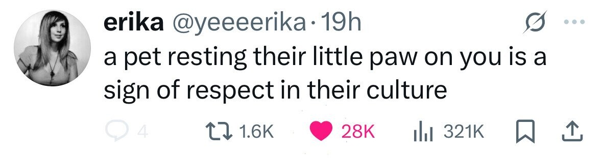 erika @yeeeerika.1 19h a pet resting their little paw on you is a sign of respect in their culture 4 1.6K 28K 321K