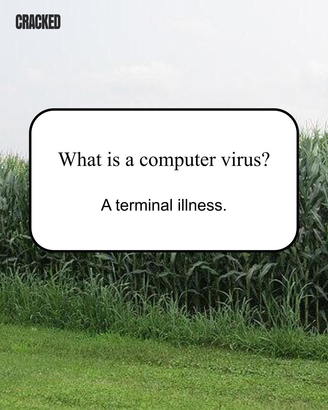 CRACKED What is a computer virus? A terminal illness. 