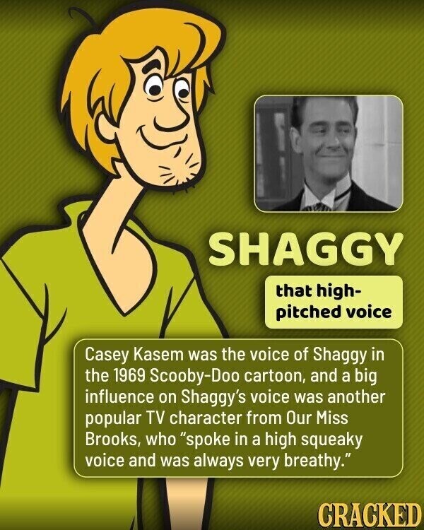 SHAGGY that high- pitched voice Casey Kasem was the voice of Shaggy in the 1969 Scooby-Doo cartoon, and a big influence on Shaggy's voice was another popular TV character from Our Miss Brooks, who spoke in a high squeaky voice and was always very breathy. CRACKED